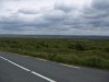 Filename=200606261415-PICT0196-Burren.jpg
Filesize=940KiB
Dimensions=2048x1536
Date added=Jun 16, 2009 200606261415-PICT0196-Burren.jpg