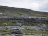 Filename=200606271356-PICT0250-Burren.jpg
Filesize=1314KiB
Dimensions=2048x1536
Date added=Jun 16, 2009 200606271356-PICT0250-Burren.jpg