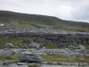 200606271356-PICT0250-Burren.jpg