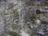 Filename=200606291714-PICT0341-RoscommonCastle.jpg
Filesize=557KiB
Dimensions=1600x1200
Date added=Jun 16, 2009 200606291714-PICT0341-RoscommonCastle.jpg