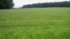 Filename=200907191347-100_0109_AFieldofFlowers.jpg
Filesize=369KiB
Dimensions=4096x2304
Date added=Jan 24, 2016 200907191347-100_0109_AFieldofFlowers.jpg