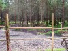 Filename=200907241305-100_0199_MooseinCaptivity.jpg
Filesize=627KiB
Dimensions=4096x3072
Date added=Jan 24, 2016 200907241305-100_0199_MooseinCaptivity.jpg