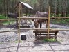 Filename=200907241306-100_0201_MoosePark3.jpg
Filesize=553KiB
Dimensions=4096x3072
Date added=Jan 24, 2016 200907241306-100_0201_MoosePark3.jpg