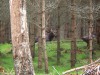 Filename=200907241320-100_0227_MoosePark-TheMightyElg.jpg
Filesize=436KiB
Dimensions=4096x3072
Date added=Jan 24, 2016 200907241320-100_0227_MoosePark-TheMightyElg.jpg