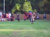 Filename=200908031941-100_0642_VisbyHorses.jpg
Filesize=342KiB
Dimensions=1280x960
Date added=Jan 24, 2016 200908031941-100_0642_VisbyHorses.jpg
