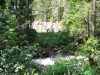 Filename=200907261226-100_0281_LunchAlongtheRoad.jpg
Filesize=71KiB
Dimensions=1280x960
Date added=Oct 21, 2015 200907261226-100_0281_LunchAlongtheRoad.jpg