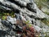 201205230852-Eagles_Nest_Trail-DSCN0291.jpg