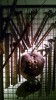 Filename=201511121307-00183-IMG-Eger_Castle.jpg
Filesize=36KiB
Dimensions=1152x2048
Date added=Dec 13, 2015 201511121307-00183-IMG-Eger_Castle.jpg