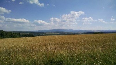 201506241630-00122-IMG-Landscape.jpg