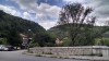 201506251446-00128-IMG-VelikoTarnovo.jpg