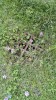 Filename=201506300917-00327-IMG-BabaVida.jpg
Filesize=5273KiB
Dimensions=1152x2048
Date added=Oct 19, 2015 201506300917-00327-IMG-BabaVida.jpg