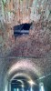 Filename=201507111227-00599-IMG-Corvin.jpg
Filesize=3852KiB
Dimensions=1152x2048
Date added=Oct 19, 2015 201507111227-00599-IMG-Corvin.jpg