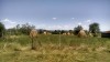 Filename=201507121404-00637-IMG-Haystacks.jpg
Filesize=3496KiB
Dimensions=2048x1152
Date added=Oct 19, 2015 201507121404-00637-IMG-Haystacks.jpg