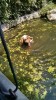Filename=201507191049-00779-IMG-BudapestZoo.jpg
Filesize=4315KiB
Dimensions=1152x2048
Date added=Oct 19, 2015 201507191049-00779-IMG-BudapestZoo.jpg