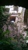 Filename=201507291142-01084-IMG-Bertholdstein.jpg
Filesize=4907KiB
Dimensions=1152x2048
Date added=Oct 19, 2015 201507291142-01084-IMG-Bertholdstein.jpg