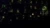 Filename=201508242256-01372-IMG-Avignon.jpg
Filesize=1102KiB
Dimensions=2048x1152
Date added=Oct 20, 2015 201508242256-01372-IMG-Avignon.jpg