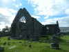 Filename=201509161535-00948-DSCN3714-AthenryPriory.jpg
Filesize=4957KiB
Dimensions=2048x1536
Date added=Oct 20, 2015 201509161535-00948-DSCN3714-AthenryPriory.jpg
