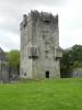 Filename=201509181211-00984-DSCN3750-Aughnanure.jpg
Filesize=6190KiB
Dimensions=1536x2048
Date added=Oct 20, 2015 201509181211-00984-DSCN3750-Aughnanure.jpg