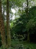 Filename=201509181225-00993-DSCN3759-Aughnanure.jpg
Filesize=5851KiB
Dimensions=1536x2048
Date added=Oct 20, 2015 201509181225-00993-DSCN3759-Aughnanure.jpg