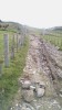 Filename=201509191030-01777-IMG-Clifden.jpg
Filesize=3670KiB
Dimensions=1152x2048
Date added=Oct 20, 2015 201509191030-01777-IMG-Clifden.jpg