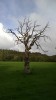 Filename=201509211651-01845-IMG-Tree.jpg
Filesize=2496KiB
Dimensions=1152x2048
Date added=Oct 20, 2015 201509211651-01845-IMG-Tree.jpg