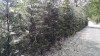 Filename=201606101252-00826-IMG.jpg
Filesize=5018KiB
Dimensions=2048x1152
Date added=Oct 11, 2016 201606101252-00826-IMG.jpg