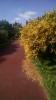 Filename=201606031807-00715-IMG_Ecopista_do_Dao.jpg
Filesize=315KiB
Dimensions=720x1280
Date added=Oct 11, 2016 201606031807-00715-IMG_Ecopista_do_Dao.jpg