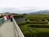 Filename=201708121402-00048-DSCN4951_Castlewellan.jpg
Filesize=693KiB
Dimensions=2048x1536
Date added=Sep 09, 2017 201708121402-00048-DSCN4951_Castlewellan.jpg