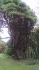 Filename=201708121453-00512-IMG_Castlewellan.jpg
Filesize=765KiB
Dimensions=1152x2048
Date added=Sep 09, 2017 201708121453-00512-IMG_Castlewellan.jpg