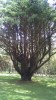 Filename=201708121454-00514-IMG_Castlewellan.jpg
Filesize=877KiB
Dimensions=1152x2048
Date added=Sep 09, 2017 201708121454-00514-IMG_Castlewellan.jpg