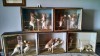 Filename=201708141323-00553-HDR_Castle_Ward.jpg
Filesize=529KiB
Dimensions=2048x1152
Date added=Sep 09, 2017 201708141323-00553-HDR_Castle_Ward.jpg