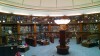 Filename=201708201458-00743-IMG_Liverpool_Library.jpg
Filesize=696KiB
Dimensions=2048x1152
Date added=Sep 09, 2017 201708201458-00743-IMG_Liverpool_Library.jpg