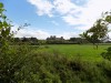 Filename=201708221125-00215-DSCN5118_Rhuddlan_Castle.jpg
Filesize=798KiB
Dimensions=2048x1536
Date added=Sep 09, 2017 201708221125-00215-DSCN5118_Rhuddlan_Castle.jpg