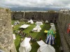 Filename=201708231537-00294-DSCN5197_Beaumaris_Castle.jpg
Filesize=803KiB
Dimensions=2048x1536
Date added=Sep 09, 2017 201708231537-00294-DSCN5197_Beaumaris_Castle.jpg