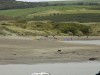 Filename=201708281505-00408-DSCN5311_Newport.jpg
Filesize=601KiB
Dimensions=2048x1536
Date added=Sep 09, 2017 201708281505-00408-DSCN5311_Newport.jpg