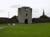 Filename=201709021314-00432-DSCN5335_Trim_Castle.jpg
Filesize=506KiB
Dimensions=2048x1536
Date added=Sep 09, 2017 201709021314-00432-DSCN5335_Trim_Castle.jpg