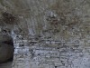 Filename=201709031343-00445-DSCN5348_Maynooth_Castle.jpg
Filesize=668KiB
Dimensions=2048x1536
Date added=Sep 09, 2017 201709031343-00445-DSCN5348_Maynooth_Castle.jpg