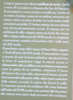 201806030906-00497-DSCN6274.jpg