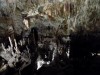 Filename=201805071001-00086-DSCN5863.jpg
Filesize=621KiB
Dimensions=2048x1536
Date added=Jun 19, 2018 201805071001-00086-DSCN5863.jpg