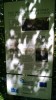 Filename=201805081102-00972-IMG.jpg
Filesize=529KiB
Dimensions=1152x2048
Date added=Jun 19, 2018 201805081102-00972-IMG.jpg