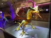 Filename=201805081537-00150-DSCN5927.jpg
Filesize=654KiB
Dimensions=2048x1536
Date added=Jun 19, 2018 201805081537-00150-DSCN5927.jpg