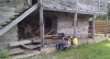 Filename=201805121806-01081-IMG.jpg
Filesize=639KiB
Dimensions=2048x1124
Date added=Jun 19, 2018 201805121806-01081-IMG.jpg