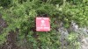Filename=201805161343-01123-IMG.jpg
Filesize=978KiB
Dimensions=2048x1153
Date added=Jun 19, 2018 201805161343-01123-IMG.jpg