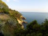 Filename=201805201813-00336-DSCN6113.jpg
Filesize=726KiB
Dimensions=2048x1536
Date added=Jun 19, 2018 201805201813-00336-DSCN6113.jpg