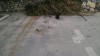 Filename=201805211648-01216-IMG.jpg
Filesize=475KiB
Dimensions=2048x1152
Date added=Jun 19, 2018 201805211648-01216-IMG.jpg