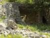 Filename=201805221222-00363-DSCN6140.jpg
Filesize=702KiB
Dimensions=2048x1536
Date added=Jun 19, 2018 201805221222-00363-DSCN6140.jpg