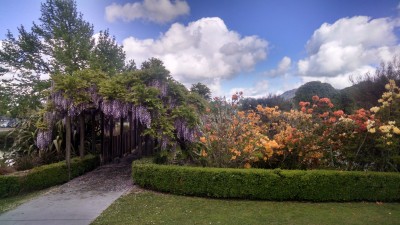 201810261005-00203-HDR_Rotorua.jpg