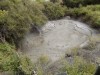 Filename=201810271044-00010-DSCN6588_Rotorua.jpg
Filesize=1076KiB
Dimensions=2048x1536
Date added=Nov 15, 2018 201810271044-00010-DSCN6588_Rotorua.jpg
