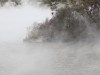 Filename=201810271050-00014-DSCN6593_Rotorua.jpg
Filesize=421KiB
Dimensions=2048x1536
Date added=Nov 15, 2018 201810271050-00014-DSCN6593_Rotorua.jpg