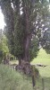 Filename=201810301123-00279-IMG_Landscape.jpg
Filesize=867KiB
Dimensions=1152x2048
Date added=Nov 15, 2018 201810301123-00279-IMG_Landscape.jpg